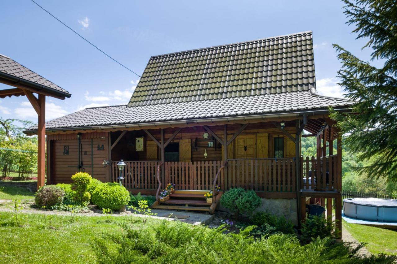 Vila Andrzejowka Kocon Exteriér fotografie