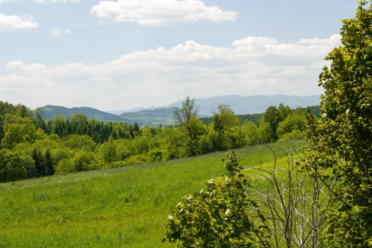 Vila Andrzejowka Kocon Exteriér fotografie
