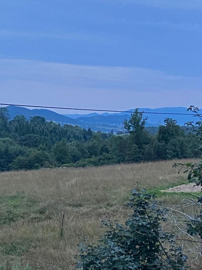 Vila Andrzejowka Kocon Exteriér fotografie